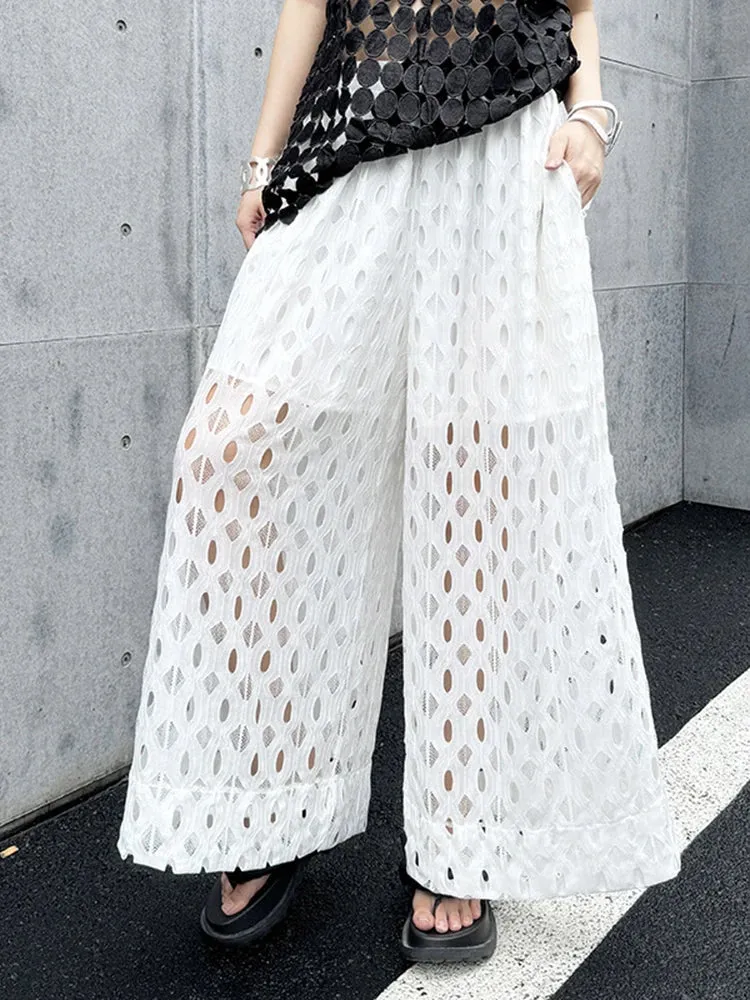 Urban Style Wide-Leg Net Trousers