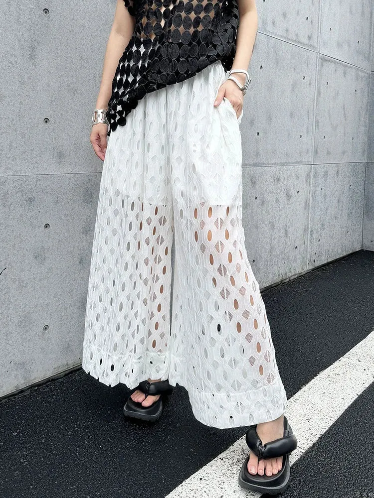 Urban Style Wide-Leg Net Trousers