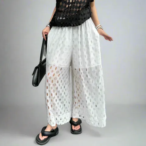 Urban Style Wide-Leg Net Trousers